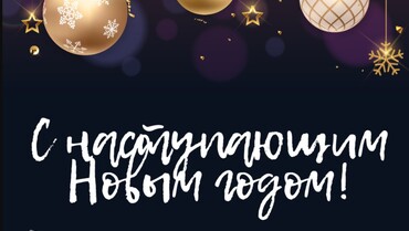 С наступающим Новым годом от всего коллектива компании НьюМедТех!